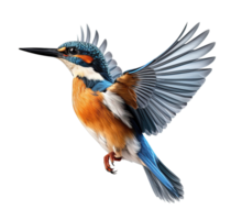 Flying kingfisher isolated on transparent background. PNG file, cut out. AI Generated