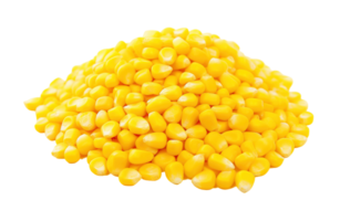 Corn seeds isolated on transparent background. PNG file, cut out. AI Generated