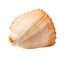 Seashell isolated on transparent background. PNG file, cut out. AI Generated