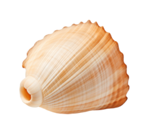 Seashell isolated on transparent background. PNG file, cut out. AI Generated