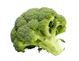 Broccoli isolated on transparent background. PNG file, cut out. AI Generated