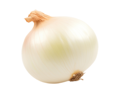 Fresh onion isolated on transparent background. PNG file, cut out. AI Generated