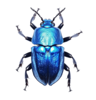 Shiny blue beetle isolated on transparent background. PNG file, cut out. AI Generated