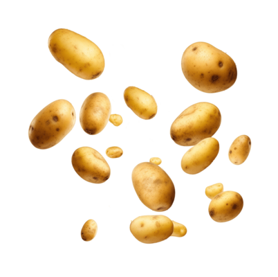 https://static.vecteezy.com/system/resources/thumbnails/032/325/441/small_2x/falling-fresh-potatoes-isolated-on-transparent-background-file-cut-out-ai-generated-png.png