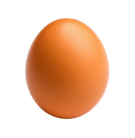 Brown Egg isolated on transparent background. PNG file, cut out. AI Generated