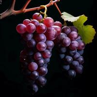 A bunch of ripe grapes, AI Generative photo