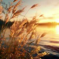 A tranquil lake, the willows sway gently in the setting sun, AI Generative photo