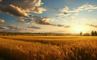 Countryside in a flat, plain area, wheat field illuminated by warm sunlight, highlighting a sustainable organic farm, AI Generative photo