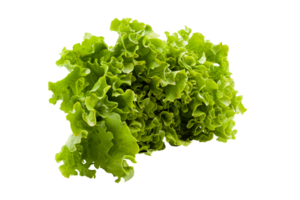 Lettuce with beautiful juicy green leaves on a white plate. No background. For garnishing. High quality photo. png
