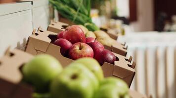 stänga upp zoom i skott av bio frukt och grönsaker på jordbrukare marknadsföra hyllor. nyligen UPPTAGITS pesticider fri mat objekt i miljömässigt medveten noll avfall mataffär video