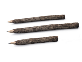 branche crayon, transparent Contexte png