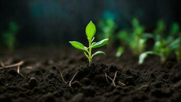 Green sprouts in dark soil against a blurred background symbolize growth and potential. AI generated. photo