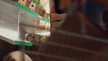 Farmer bringing boxes of fresh produce, restocking local neighborhood grocery shop with vegetables from his own farm. Trader supplying zero waste store with natural food, making client happy video