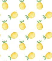 Lemon Watercolor Seamless Pattern, Citrus Fruit Background vector