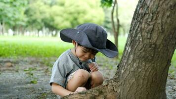 Asian boy wearing a hat in a forest exploration suit Use a magnifying glass to survey the tree area. video