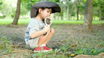 asiático chico vistiendo un sombrero en un bosque exploración traje utilizar un aumentador vaso a encuesta el árbol área. video