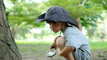 asiatisch Junge tragen ein Hut im ein Wald Erkundung passen verwenden ein Vergrößerung Glas zu Umfrage das Baum Bereich. video