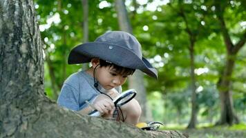 asiático chico vistiendo un sombrero en un bosque exploración traje utilizar un aumentador vaso a encuesta el árbol área. video