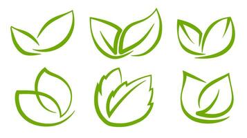 A set of abstract green leaves on a transparent background, for logos, designs, for the symbolism of the green planet vector