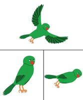 free vector Parrot set