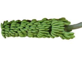 Green Banana isolated on transparent background png