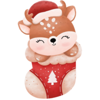 Christmas with baby animals in socks png