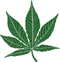 dessin à main levée feuille de cannabis simplicité png