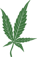 dessin à main levée feuille de cannabis simplicité png
