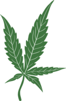 desenho à mão livre de folha de cannabis de simplicidade png