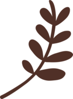 Simplicity autumn leaf freehand drawing png