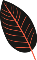 Simplicity autumn leaf freehand drawing png