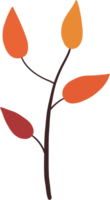 Simplicity autumn leaf freehand drawing png