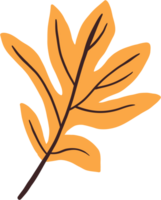 Einfachheit Herbst Blatt freihändig Zeichnung png