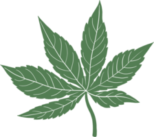 Simplicity cannabis leaf freehand drawing png