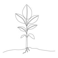 Continuous single line plant growth progress outline vector art design