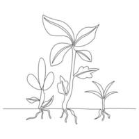 Continuous single line plant growth progress outline vector art design