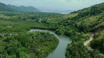 River area view Busuanga video