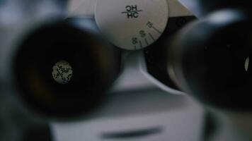bacterias en microscopio lentes médico laboratorio video