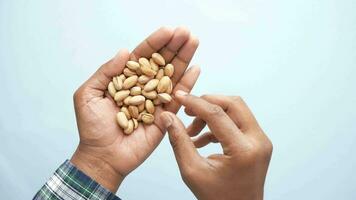 close up of pistachios nut on hand video