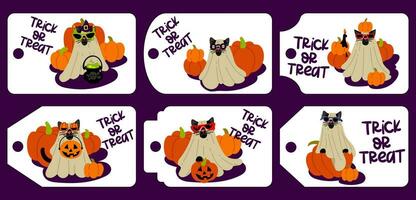 Set of bright tags for Halloween with cute cats in costumes, horizontal. Illustration of greeting cards for printing. Design for Halloween. Collection of characters on a white background. Gift labels vector