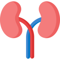 kidneys icon design png