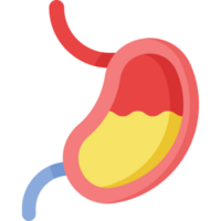 estomac icône conception png