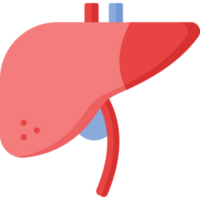 conception d'icône de foie png