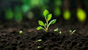 Green sprouts in dark soil against a blurred background symbolize growth and potential. AI generated. photo