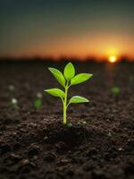 Green sprouts in dark soil against a blurred background symbolize growth and potential with the beautiful sunset. AI generated. photo