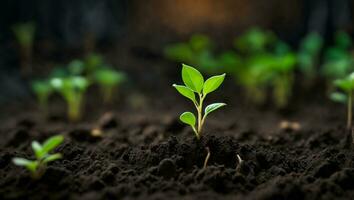 Green sprouts in dark soil against a blurred background symbolize growth and potential. AI generated. photo