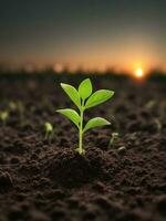 Green sprouts in dark soil against a blurred background symbolize growth and potential with the beautiful sunset. AI generated. photo