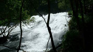 hermosa cascada en el selva con claro agua. corriente corriendo rápido en el verde bosque en el lluvioso estación. tranquilo y pacífico paisaje de naturaleza video