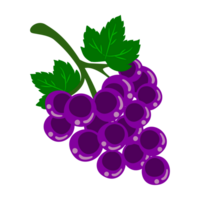 cartoon flat cute grapes png