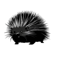 porcupine, Animal porcupine icon isolated on transparent background. AI Generative png